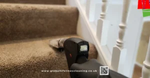Carpet Cleaning